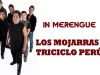 Triciclo Peru (Down) – Los Mojarras