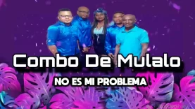 No Es Mi Problema – El Combo De Mulalo [ PERU REMIX ]